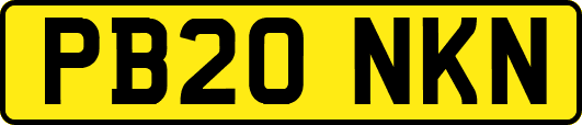 PB20NKN