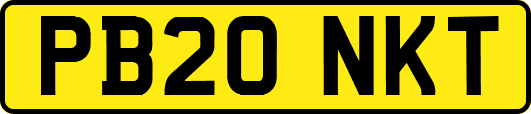 PB20NKT