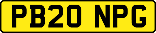 PB20NPG