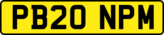 PB20NPM