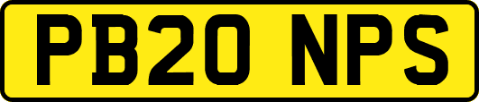 PB20NPS