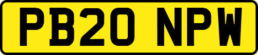 PB20NPW