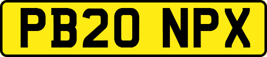 PB20NPX