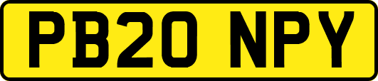 PB20NPY