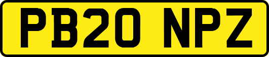 PB20NPZ