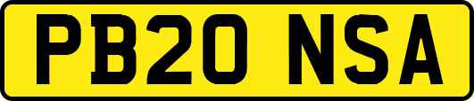 PB20NSA