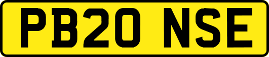 PB20NSE