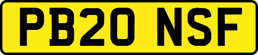 PB20NSF