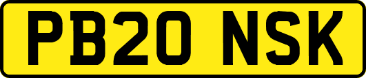PB20NSK