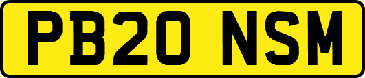 PB20NSM