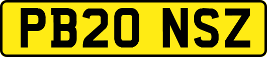 PB20NSZ