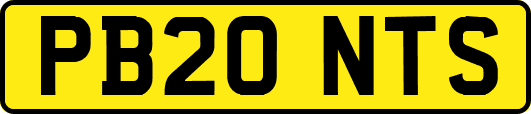 PB20NTS