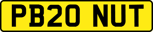 PB20NUT