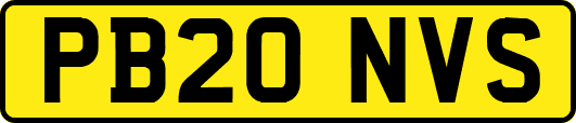 PB20NVS