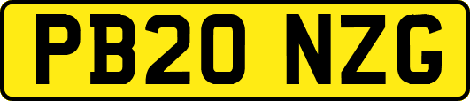 PB20NZG