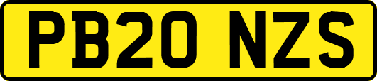 PB20NZS