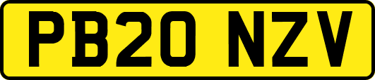 PB20NZV