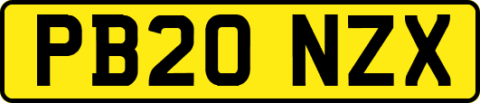 PB20NZX