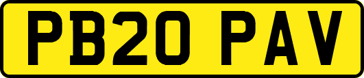 PB20PAV