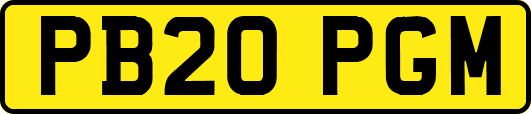 PB20PGM
