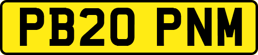 PB20PNM
