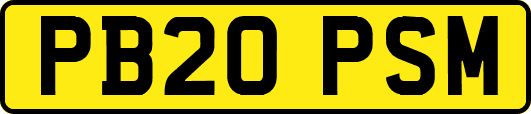 PB20PSM