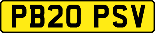 PB20PSV