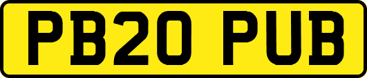 PB20PUB