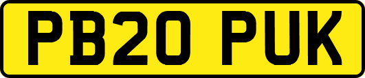 PB20PUK