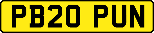 PB20PUN
