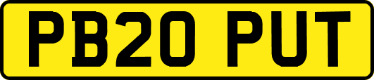 PB20PUT