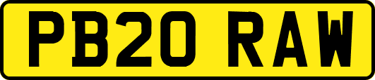 PB20RAW