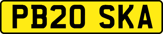PB20SKA