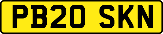 PB20SKN