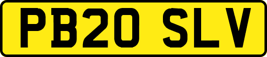 PB20SLV
