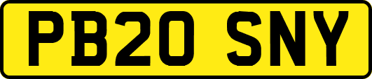 PB20SNY