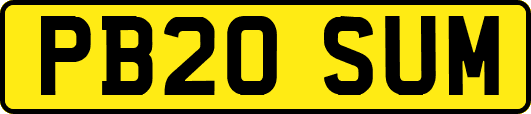PB20SUM