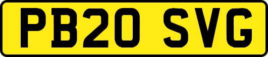 PB20SVG