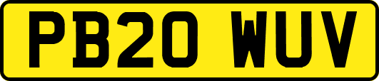 PB20WUV