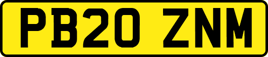 PB20ZNM