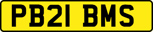 PB21BMS
