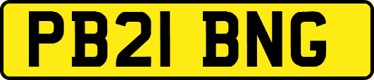 PB21BNG
