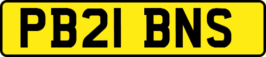 PB21BNS