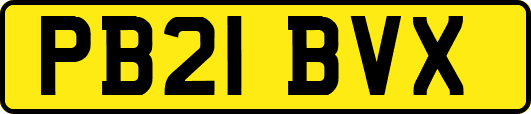 PB21BVX