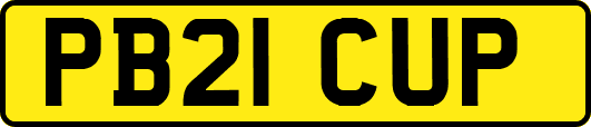 PB21CUP