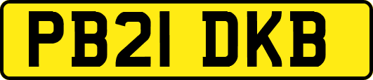 PB21DKB