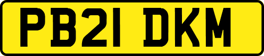 PB21DKM
