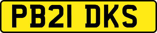 PB21DKS