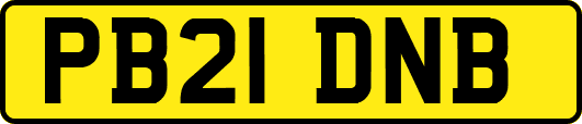 PB21DNB