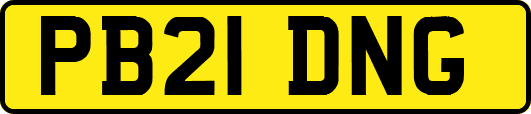 PB21DNG
